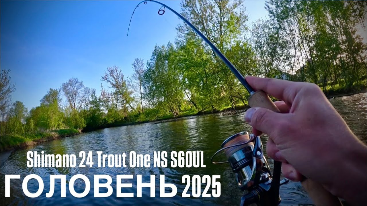 АКТИВНИЙ КЛЬОВ ГОЛОВНЯ НА ПЕРЕКАТІ❗️Shimano 24 Trout One NS S60UL