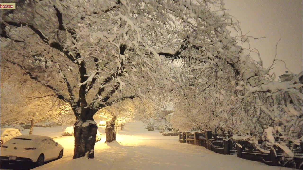 ❄️❄️❄️ Night Walk in Extreme Snowstorm, Vancouver British Columbia, Canada