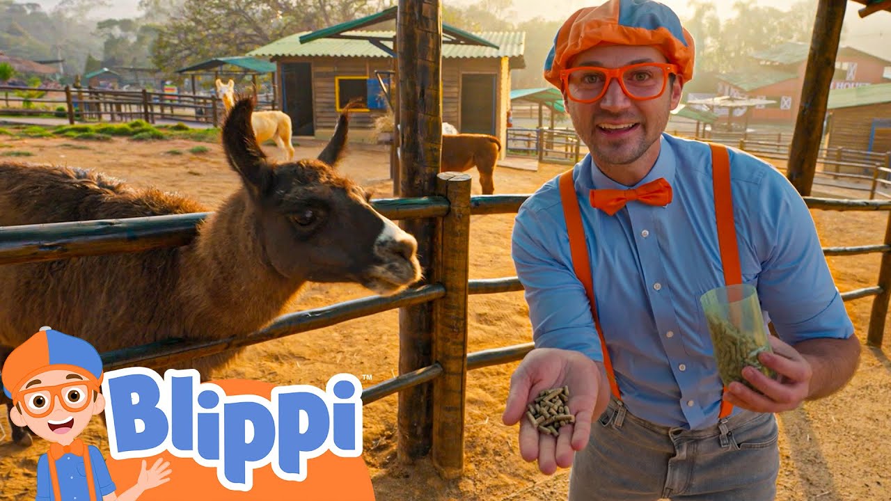 動物の世話をするブリッピー ☆ 英語を学ぶ ☆ Blippi Visits the Petting Zoo ☆ ブリッピー 日本語 ☆ 子供け教育動画 Blippi