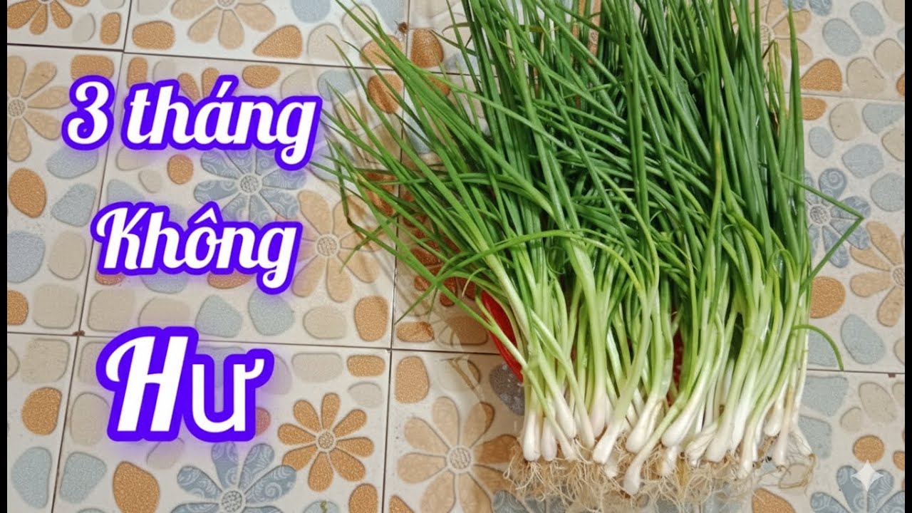 Mẹo hây, cách bảo quản hành lá và rau đến vài tháng mà vẫn còn tươi và xanh