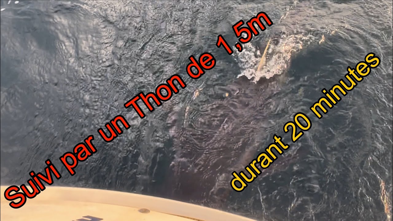 2024 #10# Turquie - Grèce - de Sığacık, Kusadasi, Samos Pythagorio, Arki