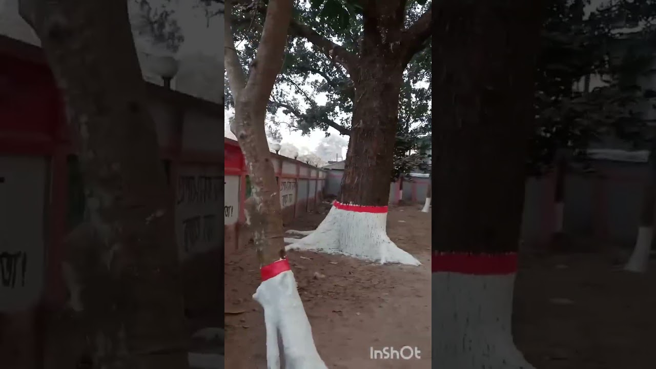 আমি এগুলো শিক্ষা প্রতিষ্ঠান থেকে লেখা পড়া কমপ্লিট করেছি  ।