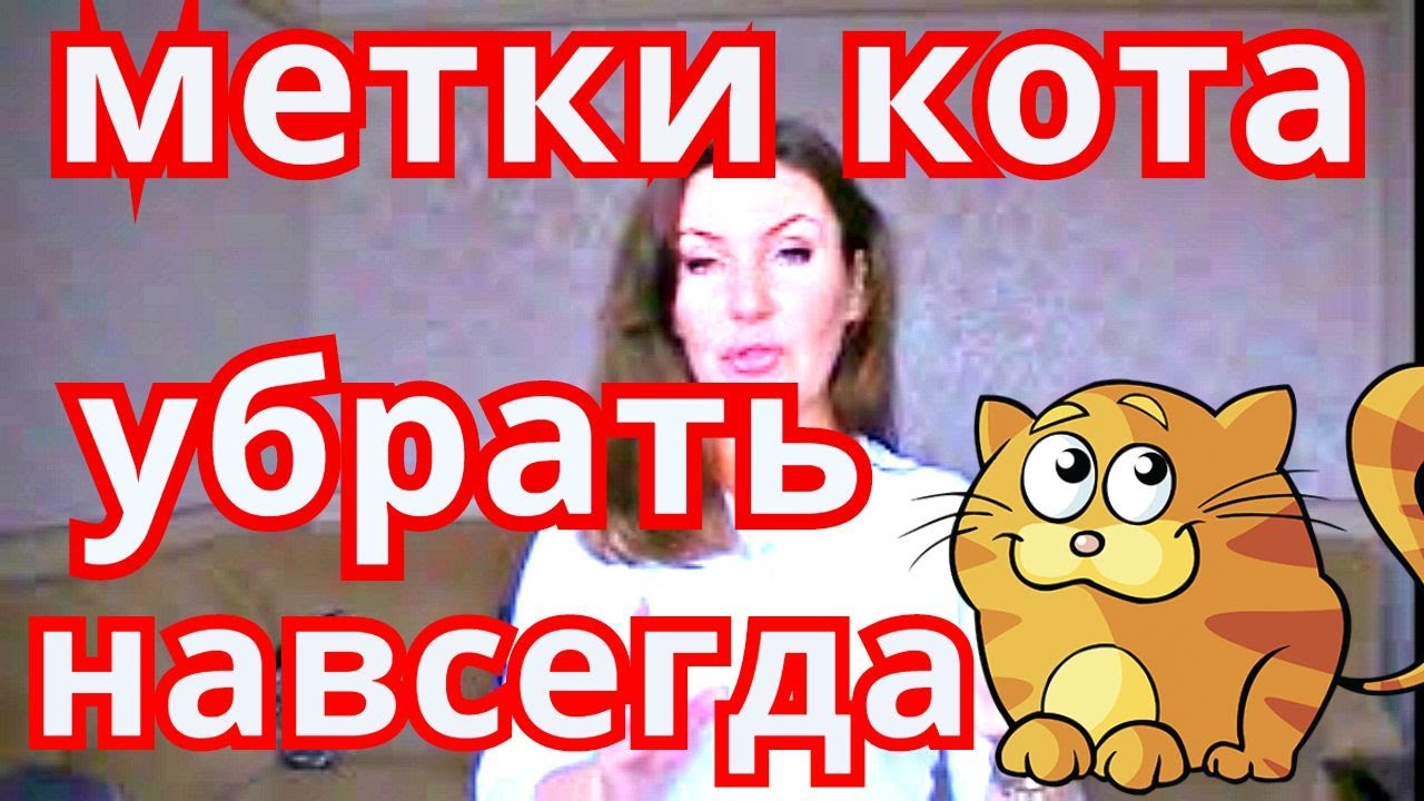 КАК НА 100%ИЗБАВИТЬСЯ ОТ МЕТОК КОТА/СОВЕТ БЫВАЛОГО