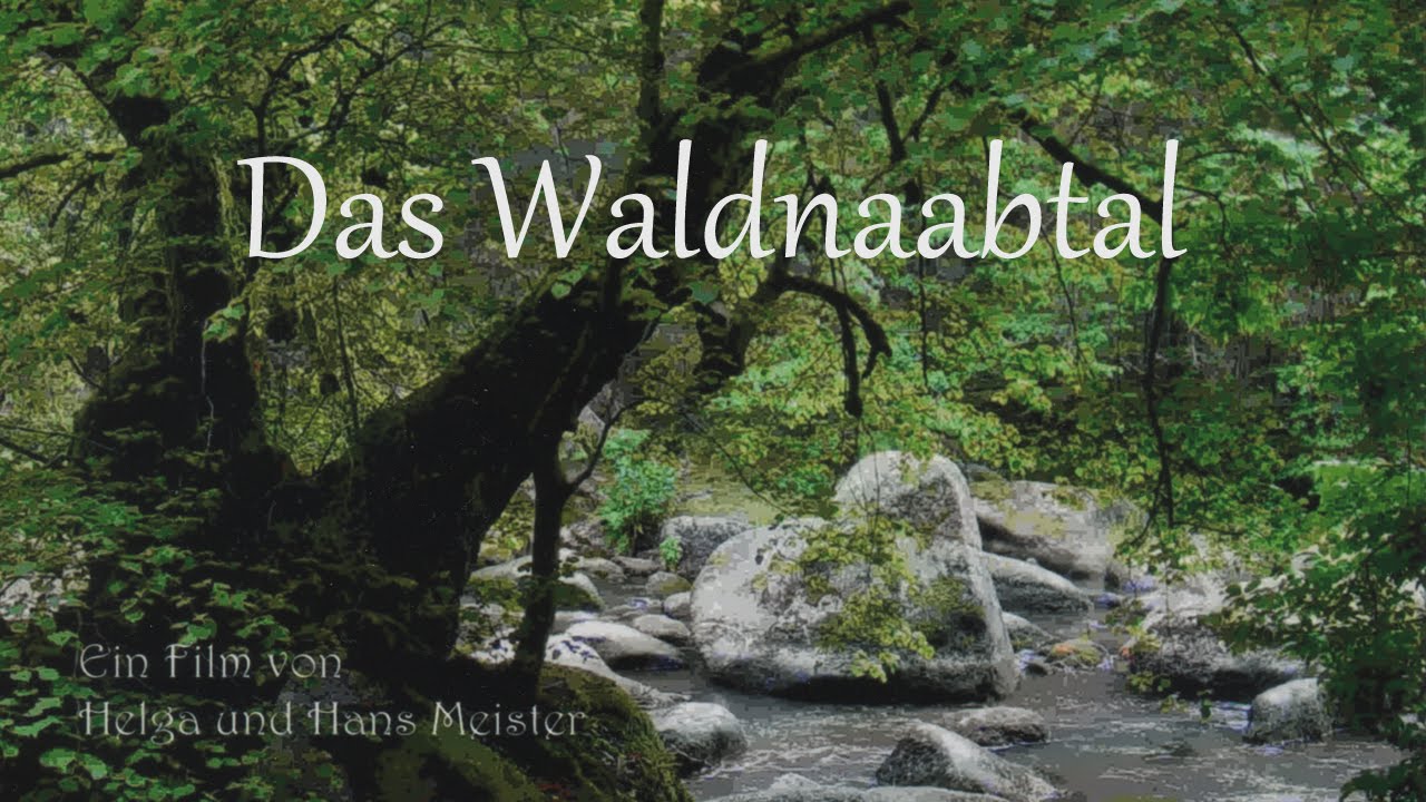 Das Waldnaabtal in vier Jahreszeiten