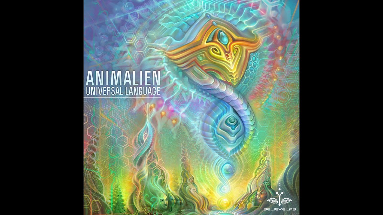 Animalien & Oksha - Experiencers