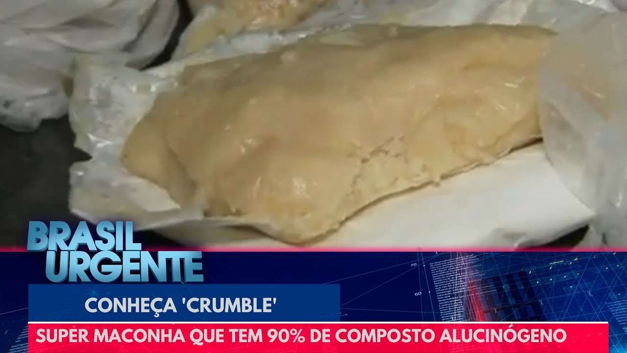 Conheça 'Crumble', super maconha que tem 90% de composto alucinógeno | Brasil Urgente