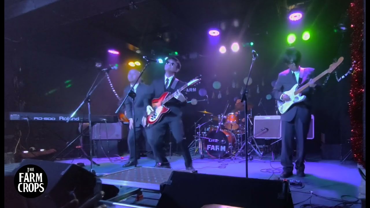 Taxman(Beatles cover / 2026新春プレゼンライブ / 2026.1.11 スタジオファーム)