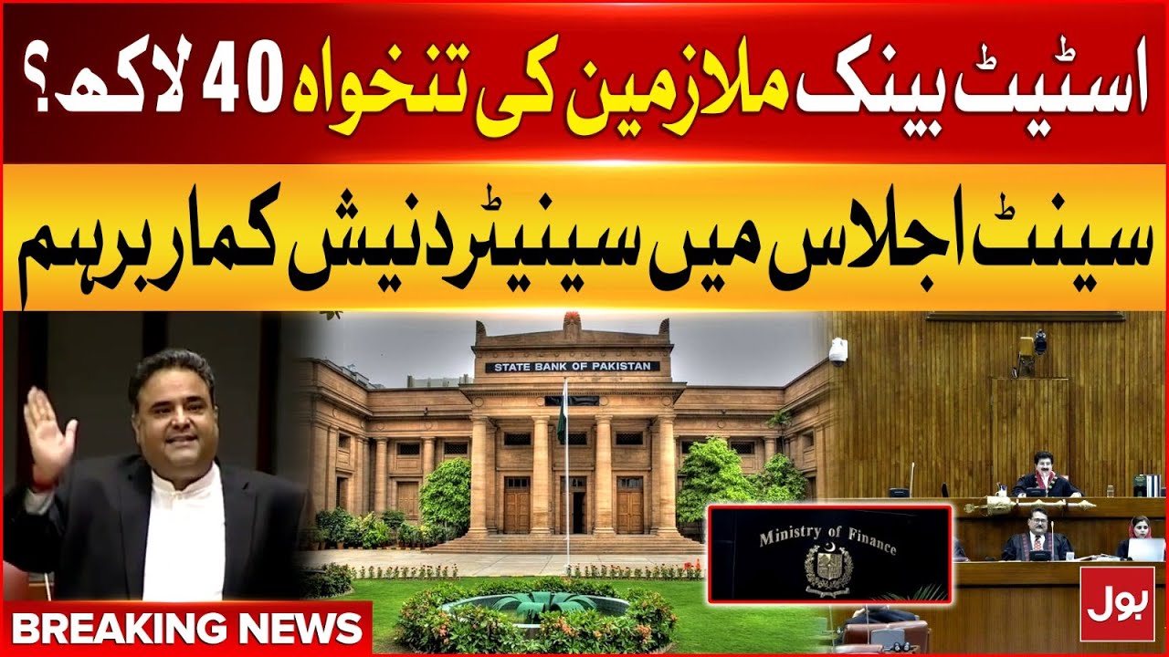 State Bank Employee Salary 40 Lac?? | Senator Danesh Kumar Aggressive Reaction | Breaking News