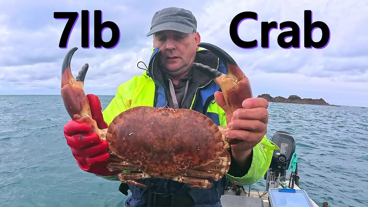7lb Brown Crab One Of The Biggest Crabs We Have Ever Caught  A Good End To Our Season