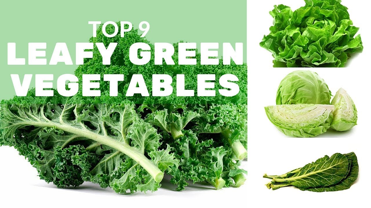 Top 9 Leafy Green Vegetables and Why You Should Eat Them