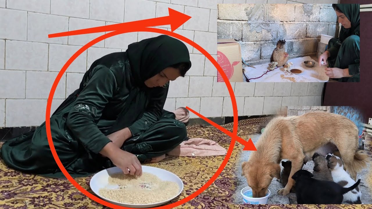 The Inspiring Story of Three Orphaned Nomadic Children and Their Life in a Village