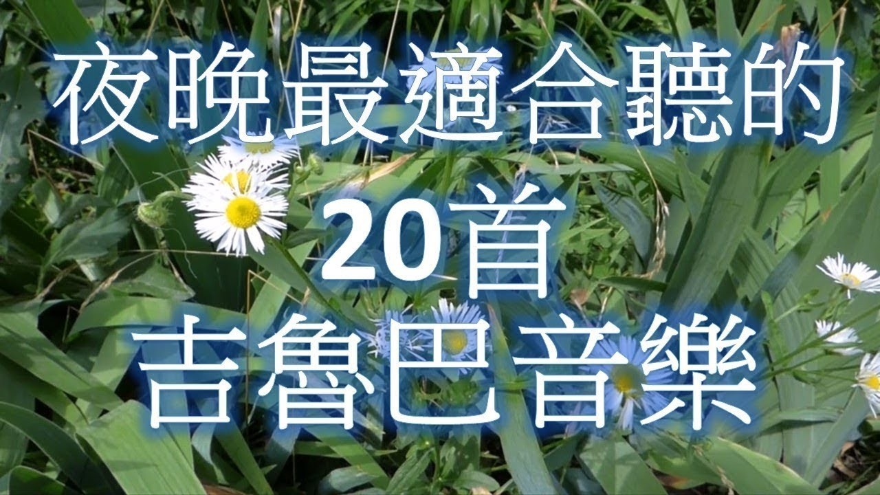 超好聽🌹30 首你一定喜歡的恰恰音樂合集【悅耳動聽 輕鬆愉快 值得收藏 】 輕音樂 Relaxing Chinese Music