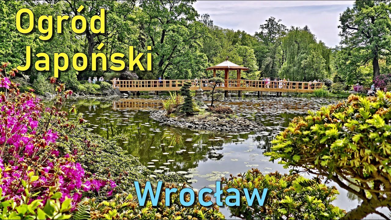 🌸 Ogród Japoński 🇯🇵 Wrocław 🎋 03.05.2024 🇵🇱