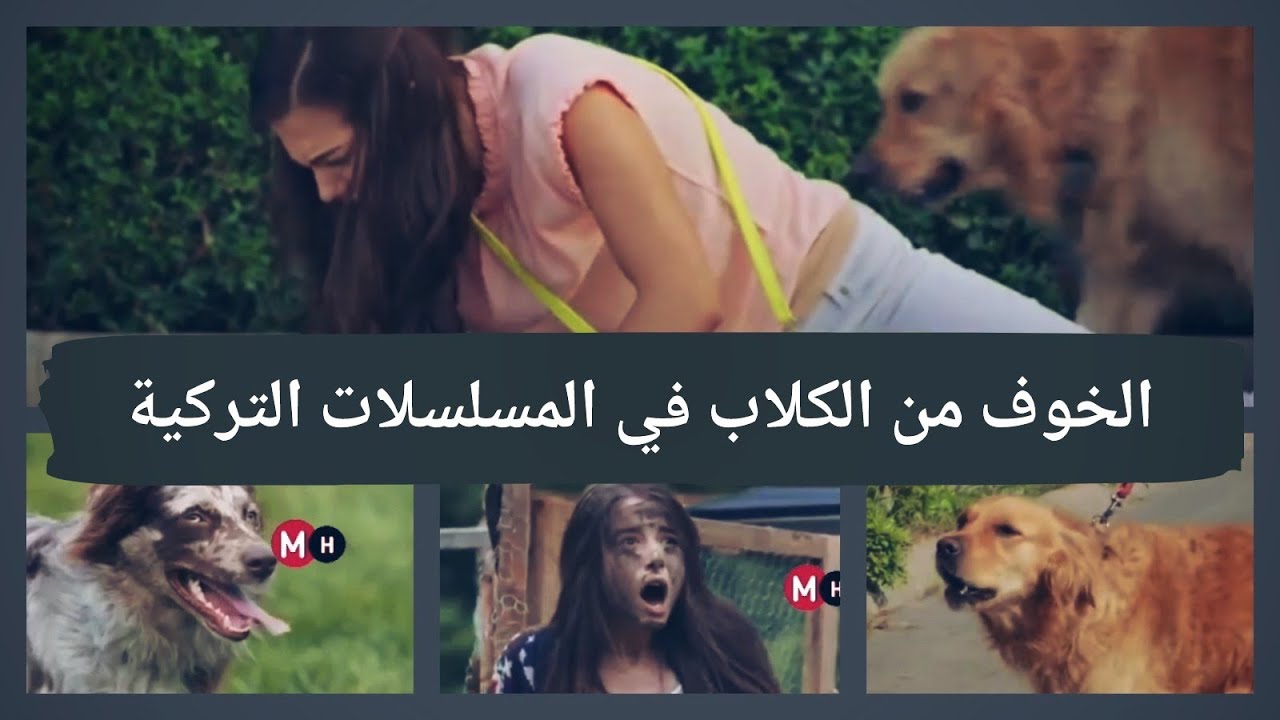 الخوف من الكلاب في المسلسلات التركية 🐶 🐶
