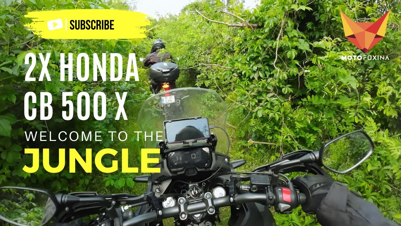 Two HONDA CB500X - Welcome to the JUNGLE