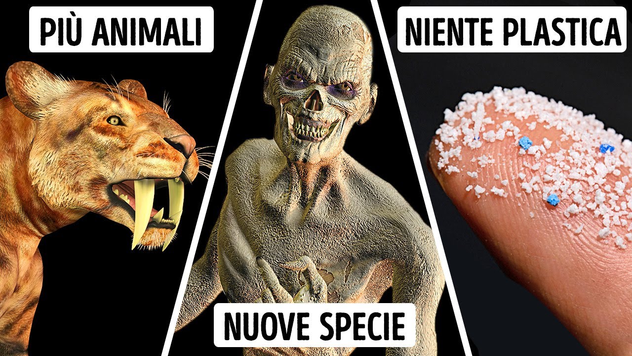 Quale Animale Dominerebbe La Terra Se Non Ci Fossero Gli Umani?