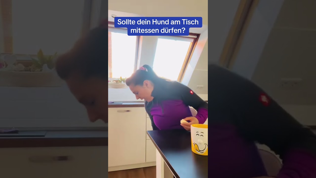 #hundealltag #hund #hundefakten #problemhund
