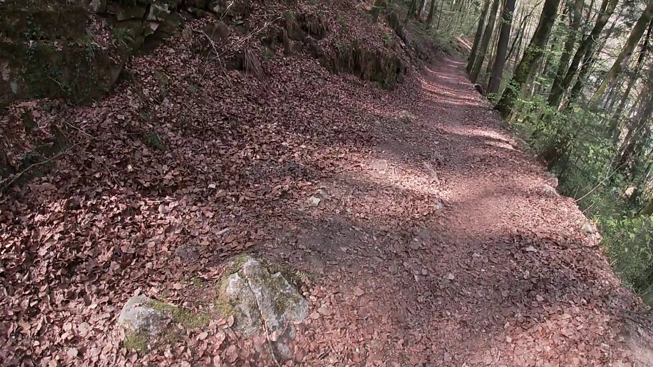 Natur Pur #1.1 Landkreis Lörrach / Sallneck / Wandern / Heißbachschlucht ( 1/ 5)