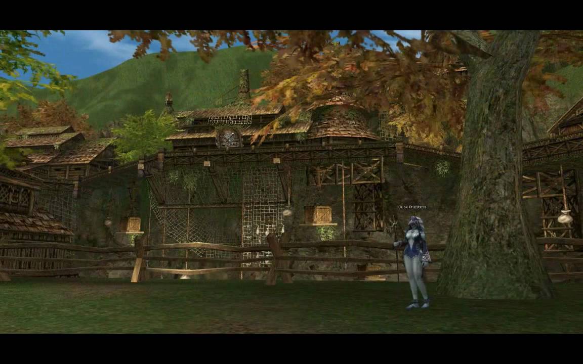 Lineage 2 - Hunters Village Theme
