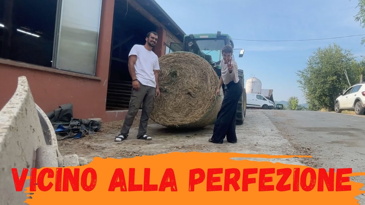 come trattare l' Erba Medica - Balloni da Urlo 🌱