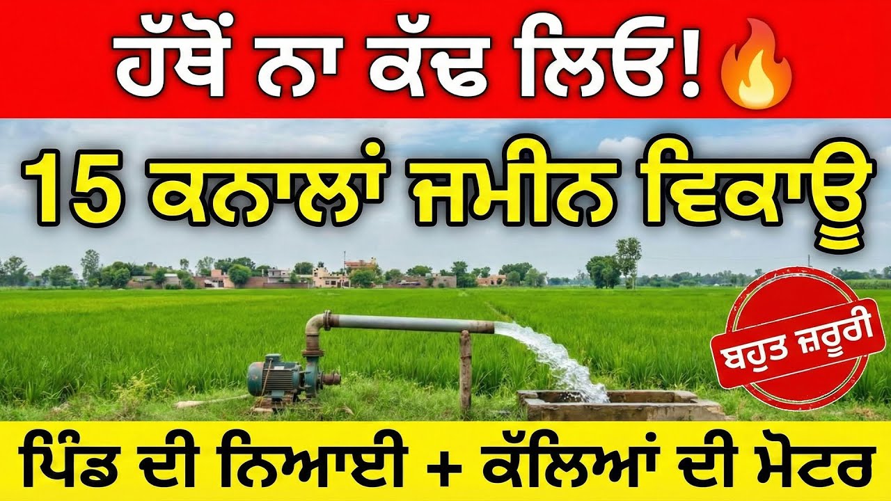 ਹੱਥੋਂ ਨਾ ਕੱਢ ਲਿਓ! 🔥 15 ਕਨਾਲਾਂ ਜਮੀਨ ਵਿਕਾਊ | ਪਿੰਡ ਦੀ ਨਿਆਈ + ਕੱਲਿਆਂ ਦੀ ਮੋਟਰ