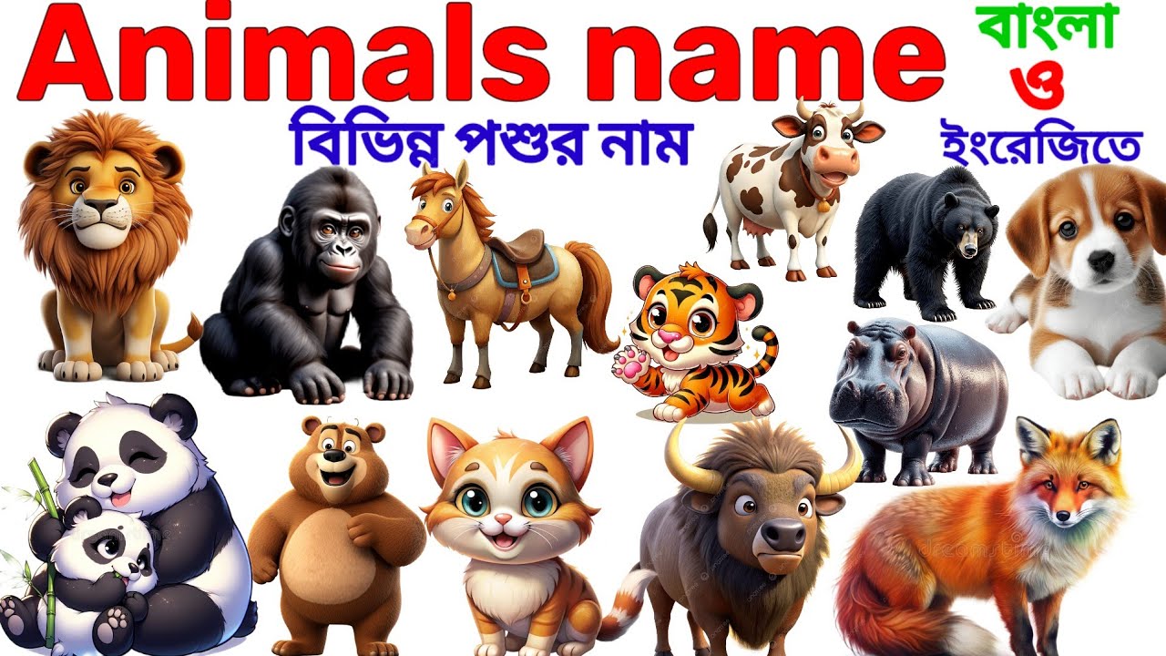 Animals Name 🐯🐕| Animals Name in Bengali to English With Pictures | Animals Name for Kids | Animals
