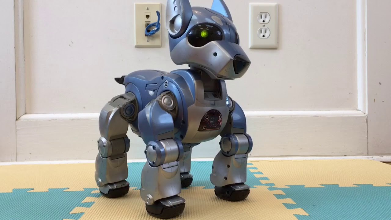 Z-Cybie vs I-Cybie Comparison