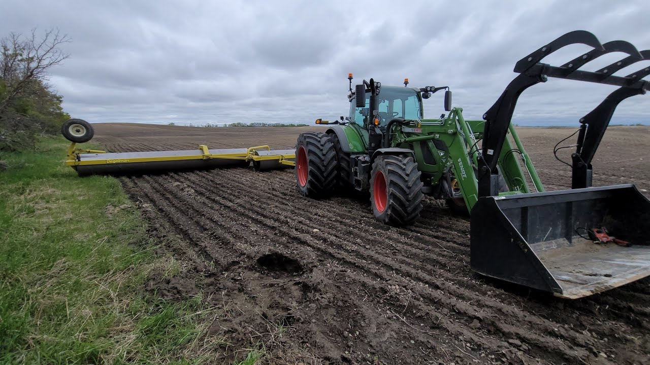 Rollin' the Barley! + Saskatchewan facts 👌