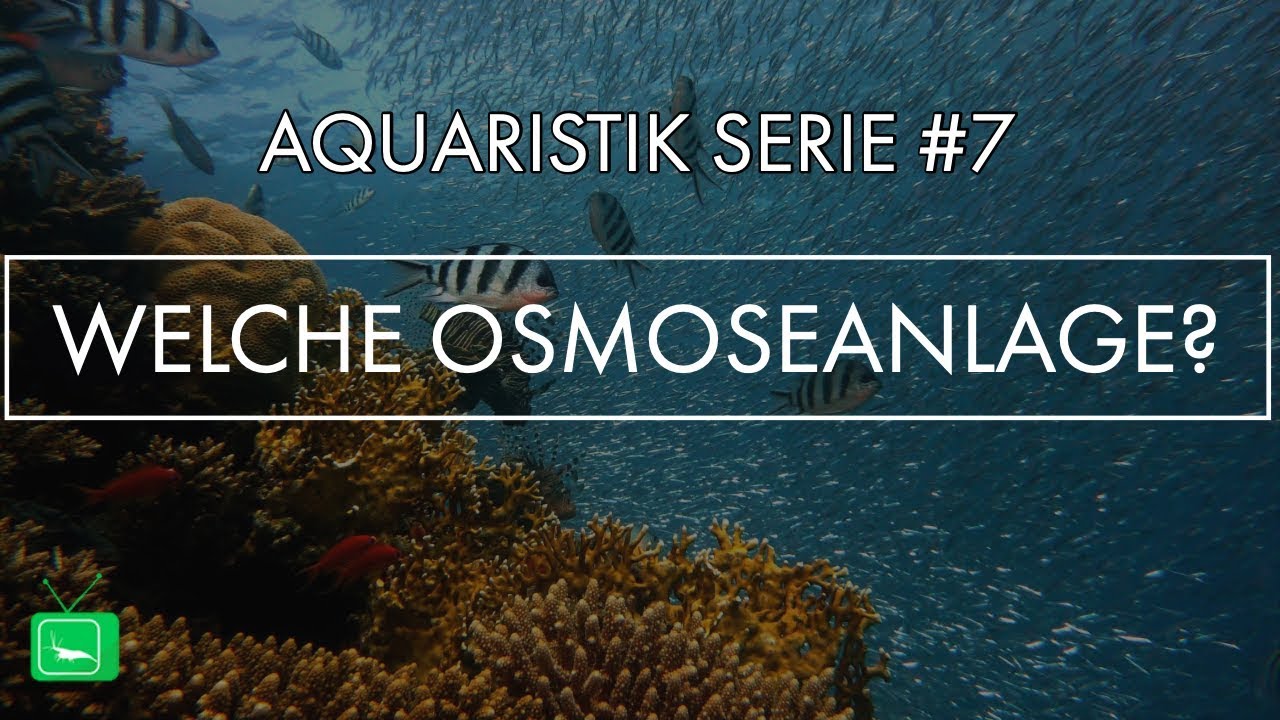 WELCHE OSMOSEANLAGE IST DIE RICHTE F&Uuml;R MICH? | OSMOSEANLAGEN | 4K |  GarnelenTv