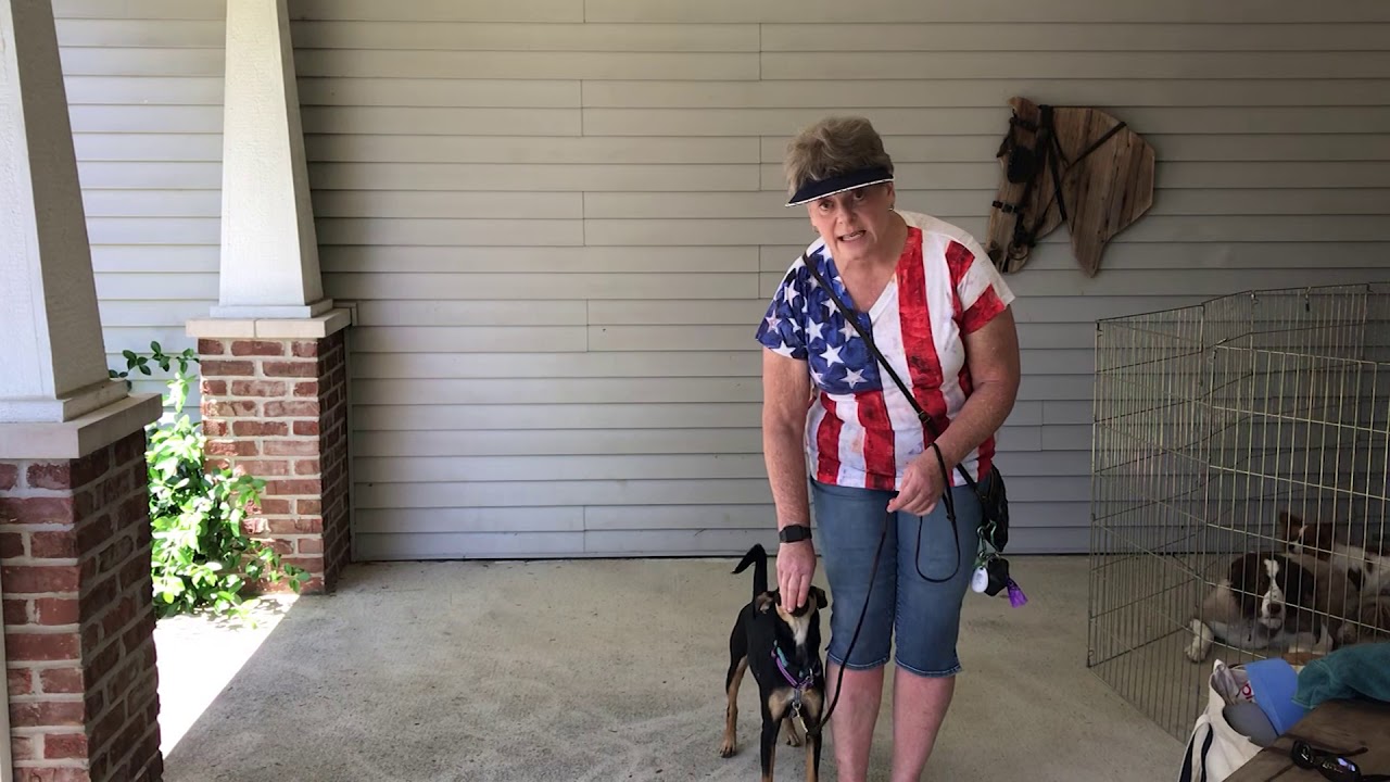 Training Tuesday Tutorial: Loose Leash Walking