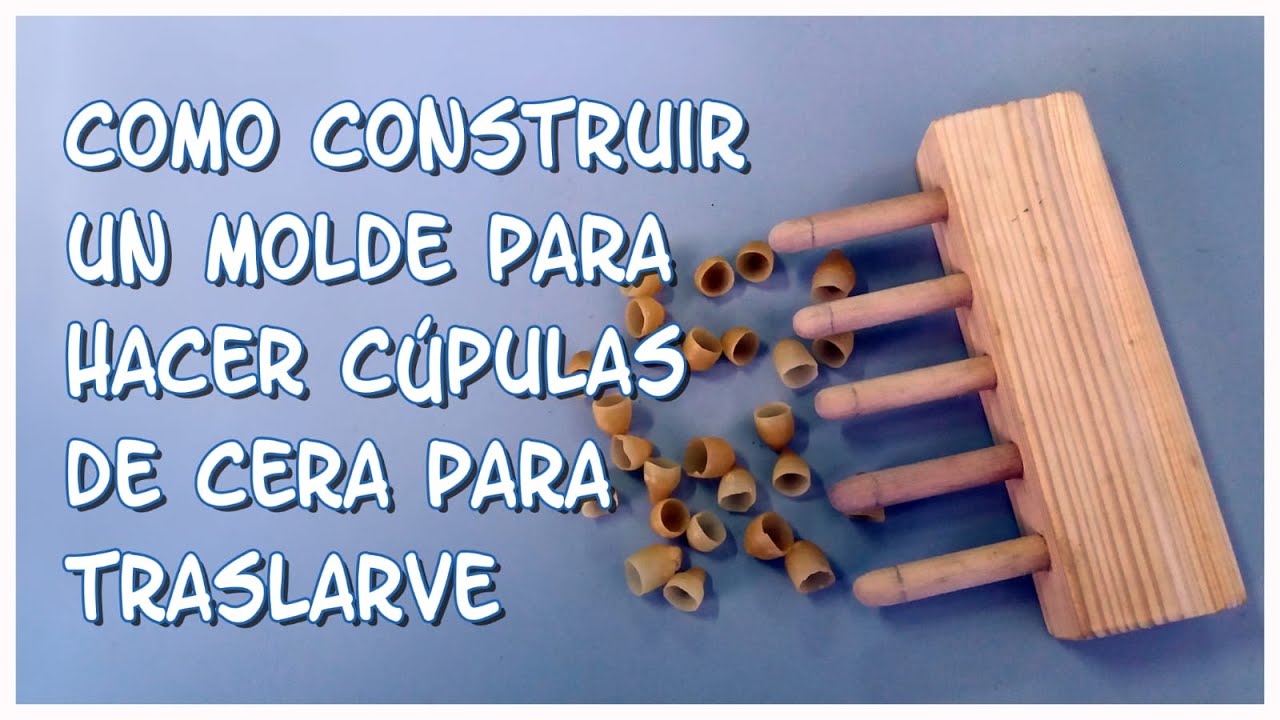 Molde para hacer cúpulas de cera para realizar traslarves.