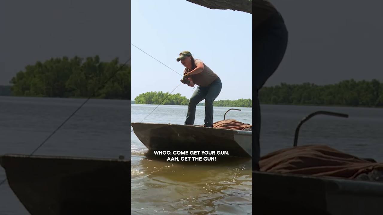 This Gator's HUGE! | Swamp People | #Shorts