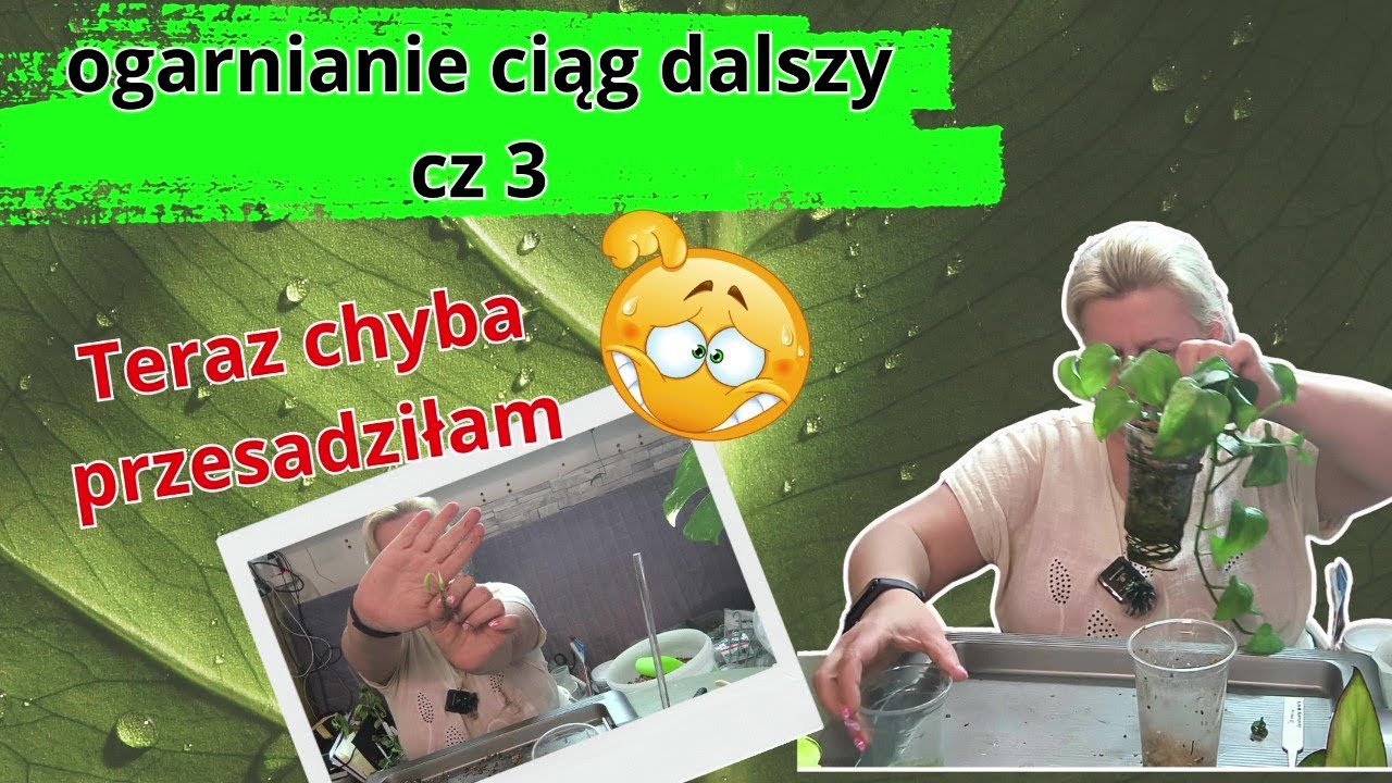 Ogarniam cz 3. pnącza 🌿 Chyba przesadziłam 😁 Ale to nie moja wina 😉