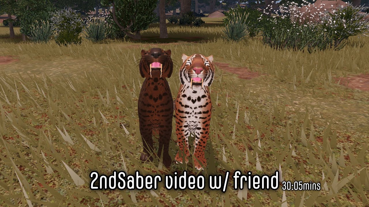 2ndSaber video with friend 30:05mins