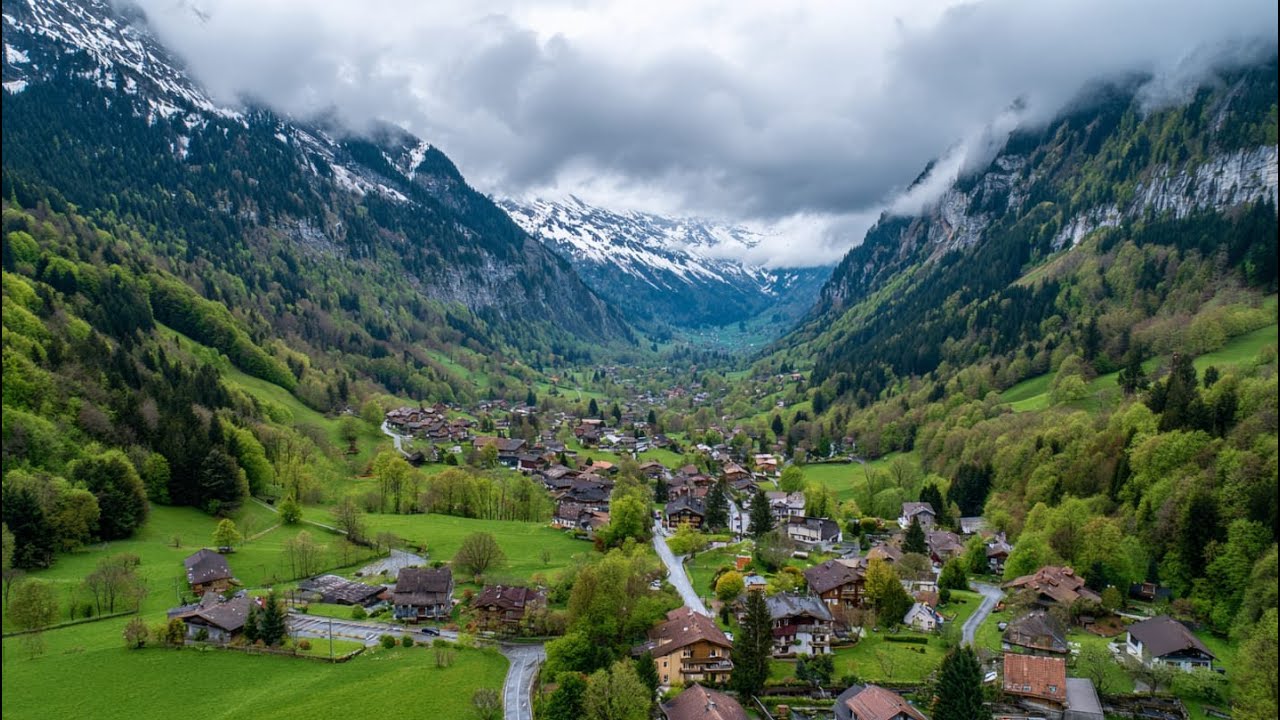 Relax & Unwind: 3 Hours of Peaceful Nature Sounds for Sleep, Study & Meditation #Relax #NatureSounds