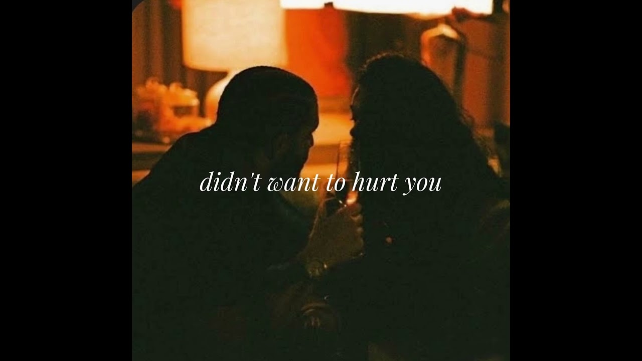 Minsumusic- didn't want to hurt you