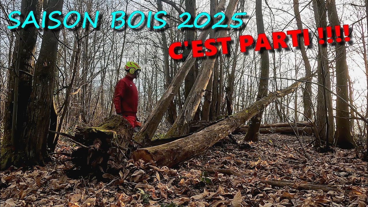 [EN MODE BUCHERON] Saison bois 2025 C'EST PARTI !!!!!🪚🪵🌳🪓🌲