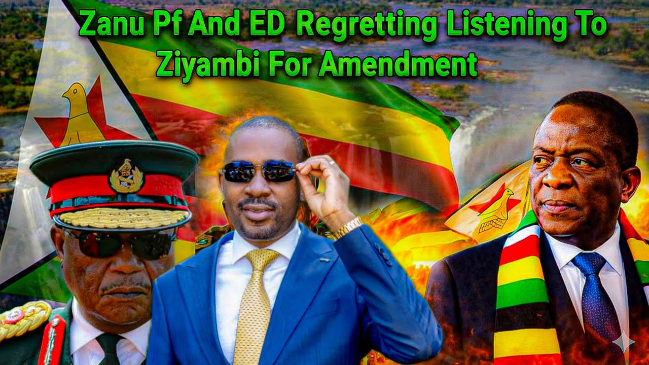 The Constitution Amendment Faces Massive Resistance: Zimbabweans Mobilize Nationwide