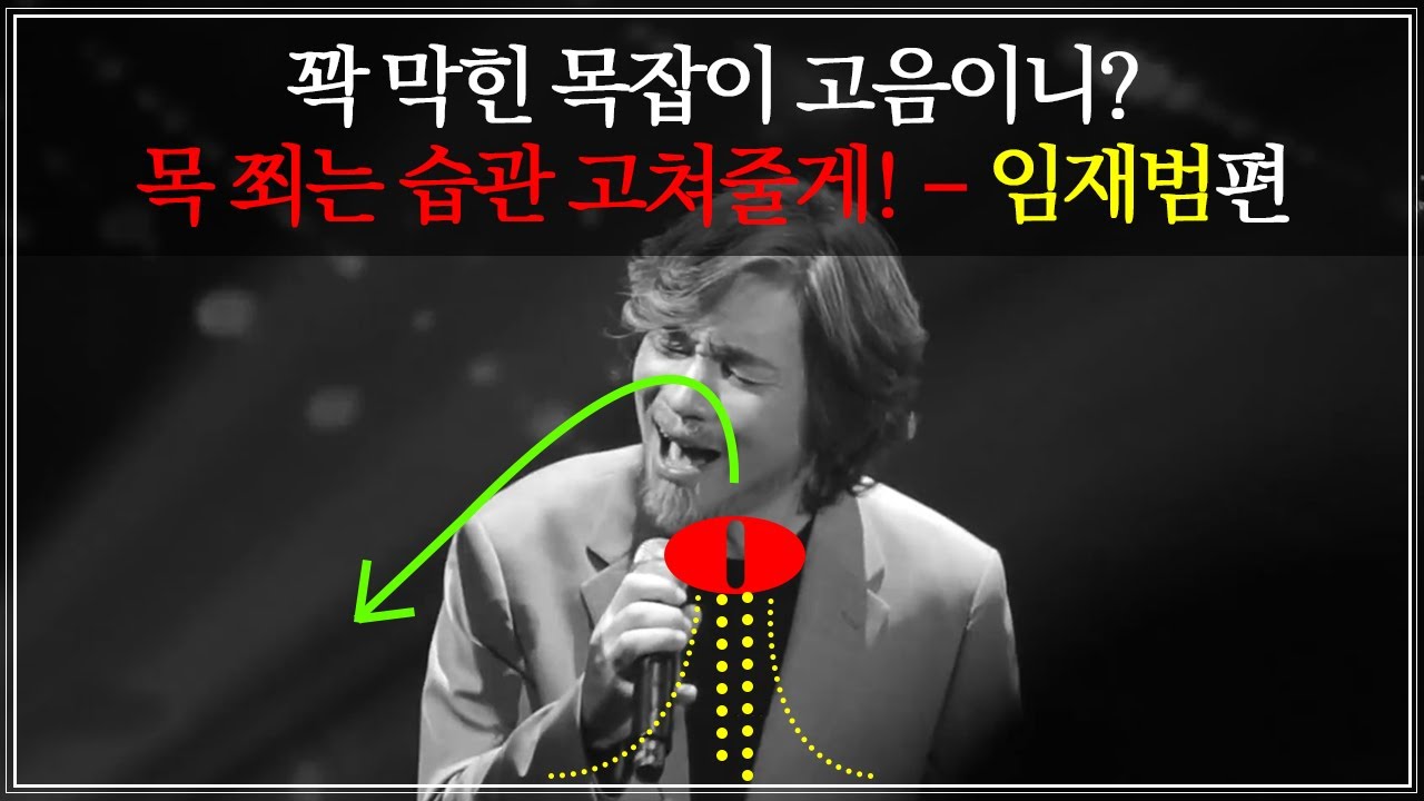[성대 세팅] 목을 쥐어짜지 않으면서 고음 쭉 올려버리는 비법 - 임재범 편