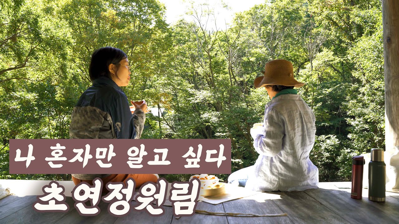 나 혼자만 알고 싶은 숲속 정원, 전남 순천 초연정 원림으로 가을소풍 다녀왔어요~ 힐링 비대면 여행