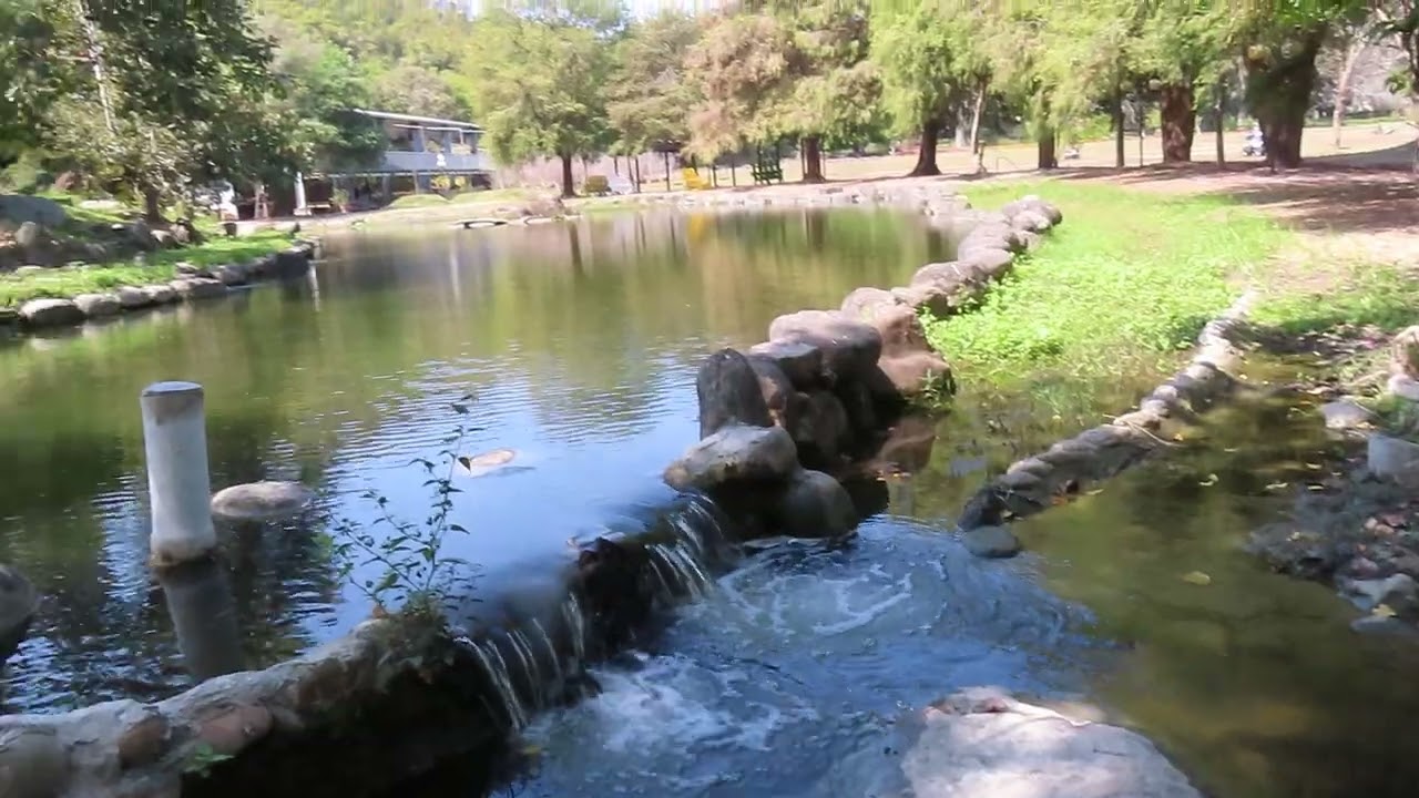 流水的映照