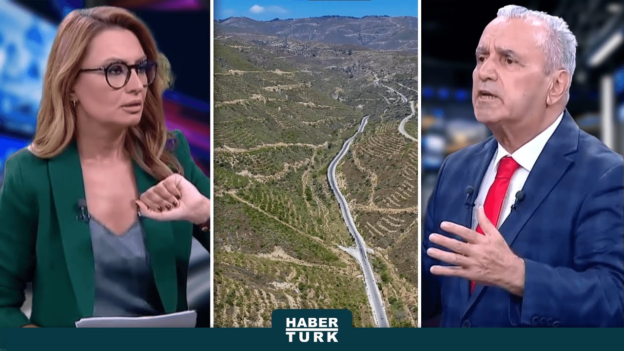 Yanan Orman Alanları Nasıl Yeniden Yeşillenecek?