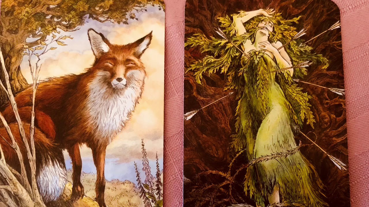 Altering Tarot Decks - feature Wildwood Tarot