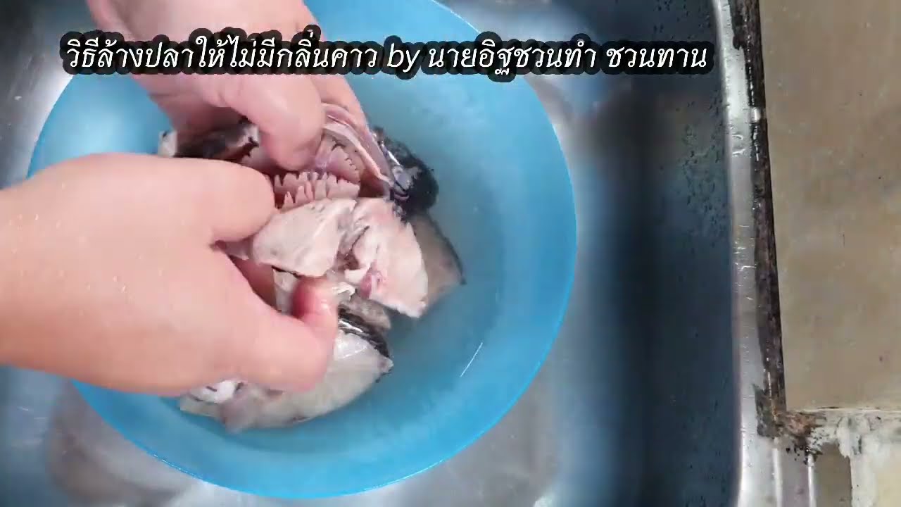 วิธีล้างปลาไม่ให้มีกลิ่นคาว วิธีล้างปลานิล ทำง่าย สะอาด หายคาวแน่นอน เทคนิคนี้ใช้ได้กับปลาทุกชนิด