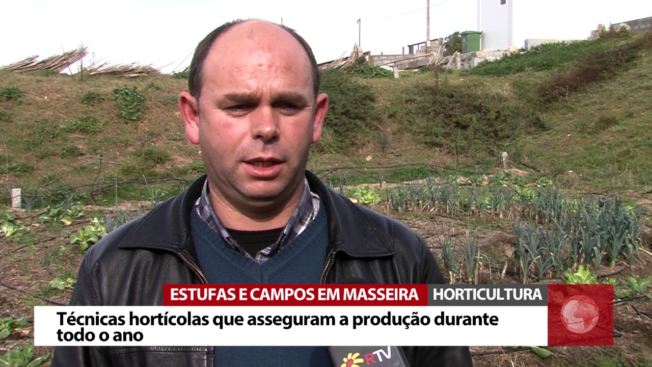 Estufas e campos, na Póvoa do Varzim