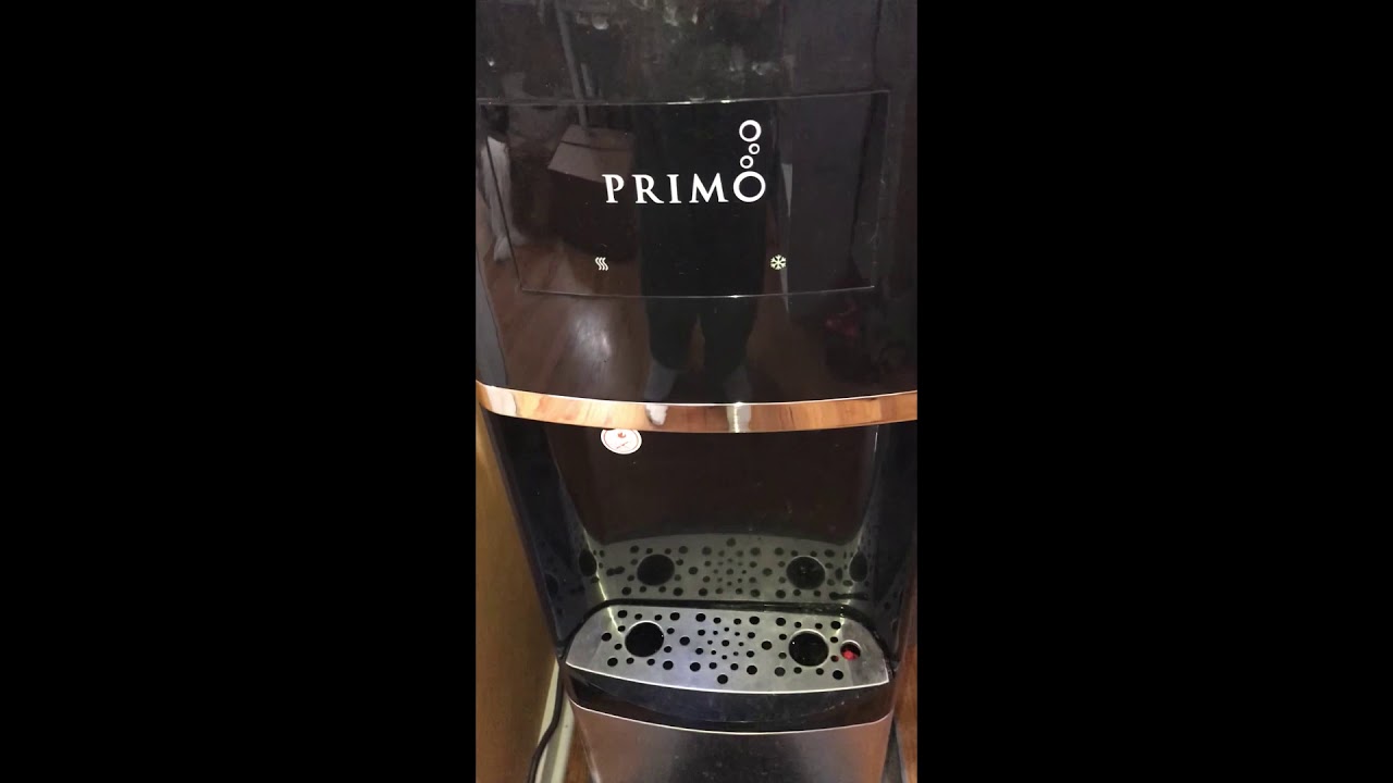 Primo Top Load Water Cooler Pet Station Review