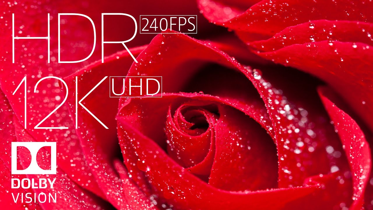 WORLD MOST BEAUTIFUL FLOWERS IN 12K HDR 240fps DOLBY VISION with Instrumental Music