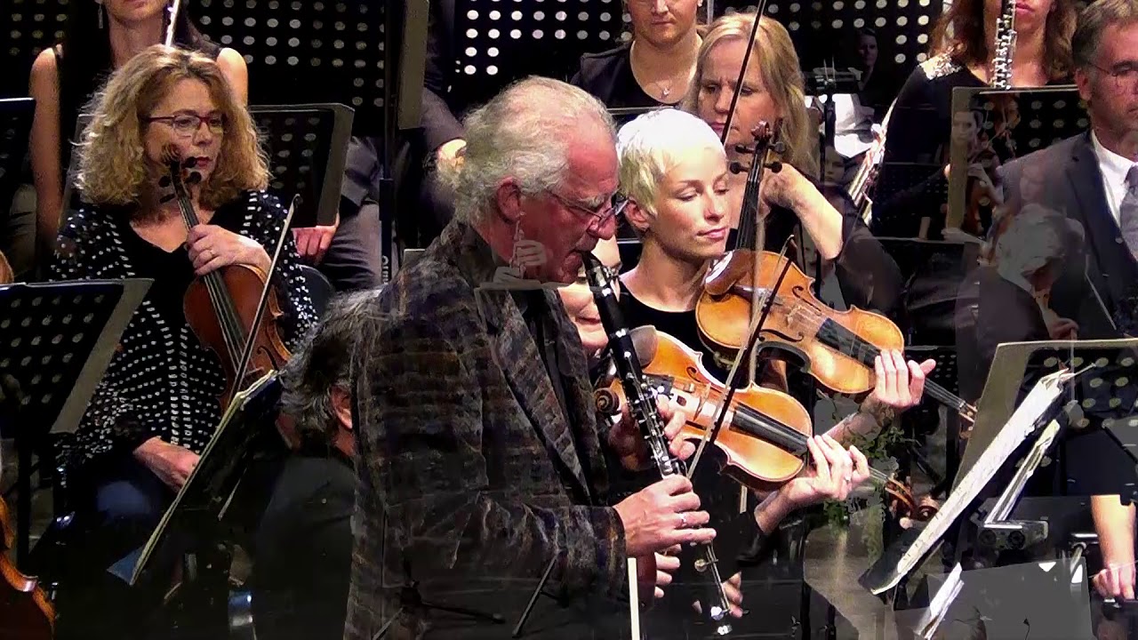 Željko Milić & Symphony Orchestra - Concertino for Clarinet and Orchestra (A. Grgin)