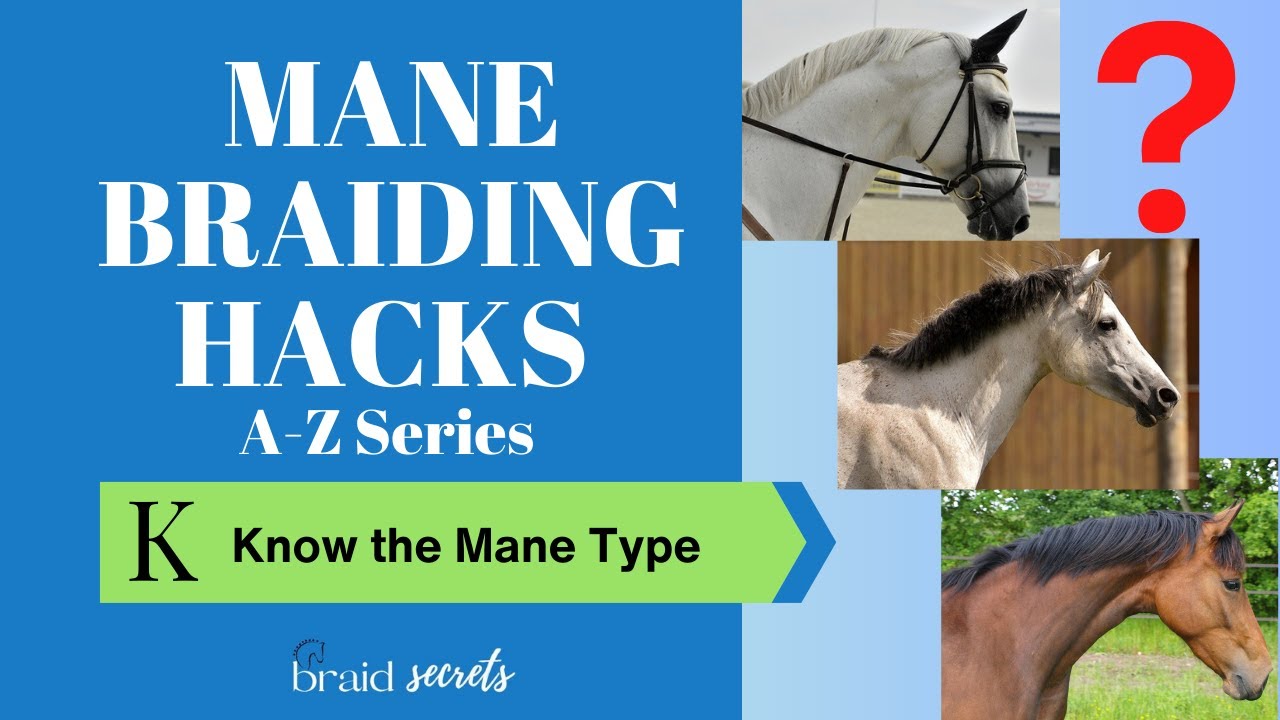 Mane Braiding Hacks, Letter K - Know the Mane Type