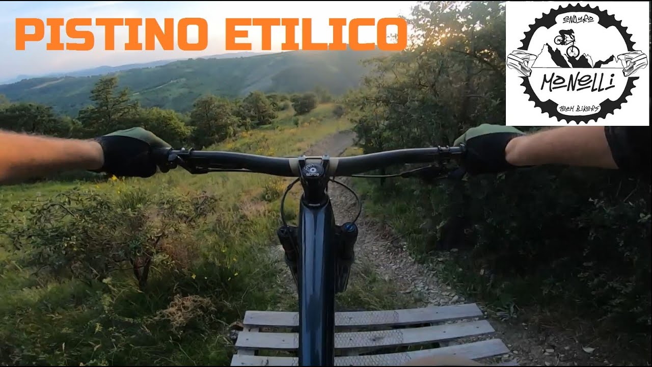 PISTINO ETILICO - RADUNO MONELLI 2023